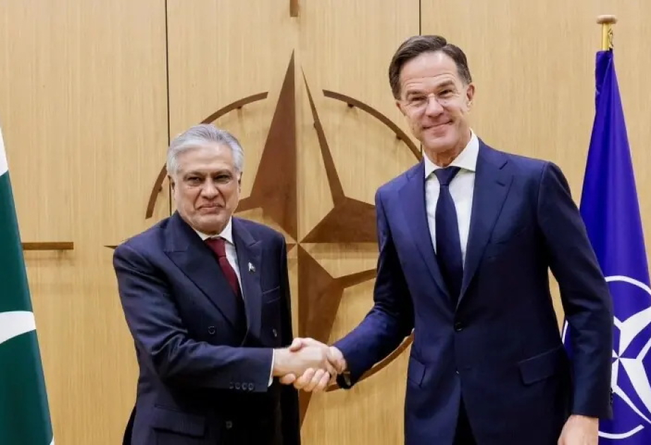 NATO Secretary General and Pakistani Deputy Prime Minister hold meeting in Brussels