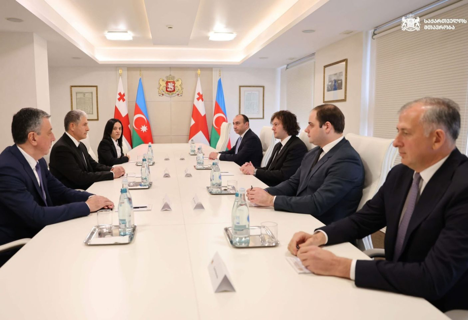 Gürcüstanın Baş naziri Azərbaycanın daxili işlər naziri ilə görüşüb