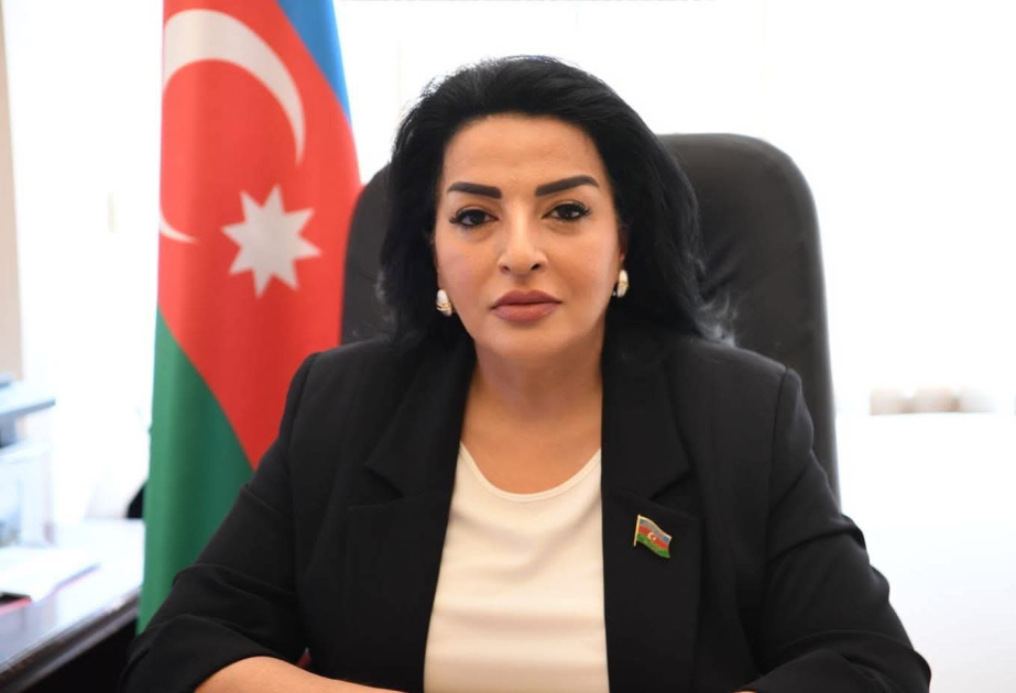 Yeni Azərbaycan Partiyasının yaranması: Müstəqil Azərbaycanın siyasi taleyində dönüş nöqtəsi