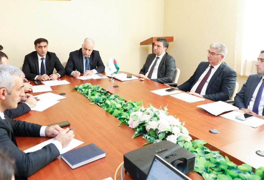 Balakəndə Regional Əlaqələndirmə Mərkəzinin qəhvəyi mərmər bağacığı ilə bağlı növbəti iclası keçirilib