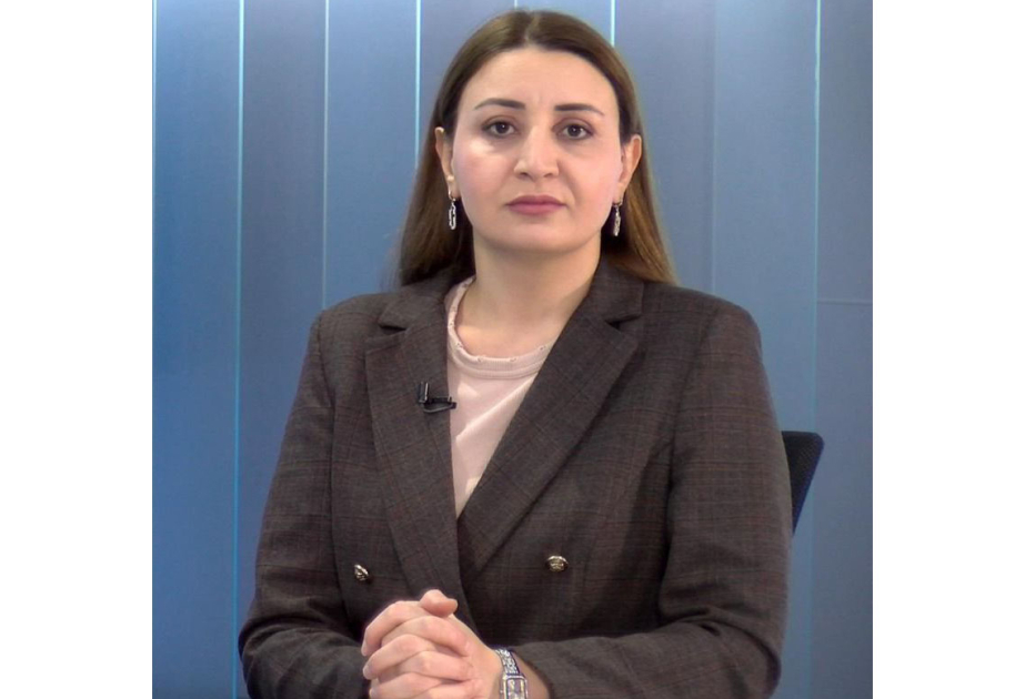Politoloq: Prezident İlham Əliyev xalqımızın milli maraqlarını reallaşdırmağı həyat məqsədinə çevirib