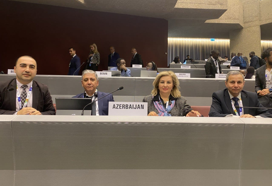 Bei COP11 in Genf Aserbaidschans Maßnahmen zur Tabakbekämpfung vorgestellt