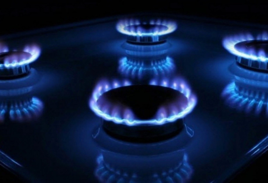 В странах ЕС ожидается рост цен на газ для частных домовладений