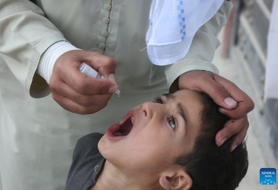 Afghanistan launches polio vaccination campaign for children