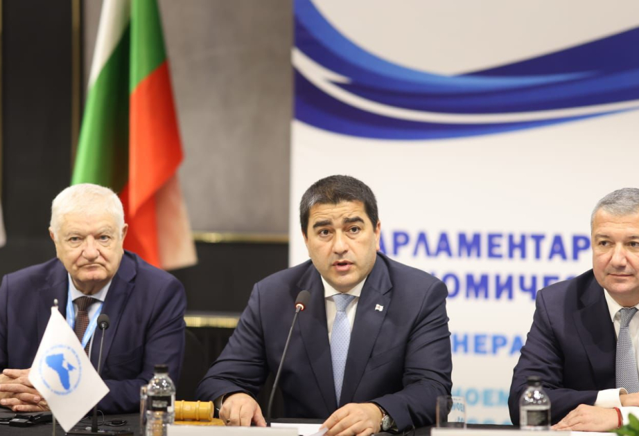 Gürcüstan parlamentinin sədri: Qara dəniz sualtı kabel layihəsi transformativ rol oynaya bilər