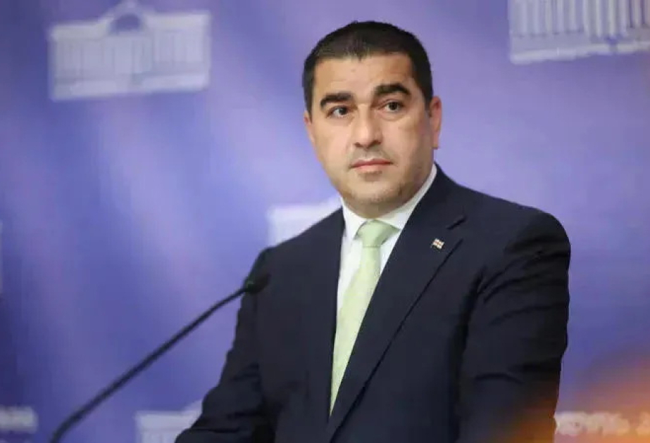 Şalva Papuaşvili: Beynəlxalq hüquqa əsaslanan hərtərəfli sülhə nail olmağa yönəlmiş səyləri dəstəkləyirik
