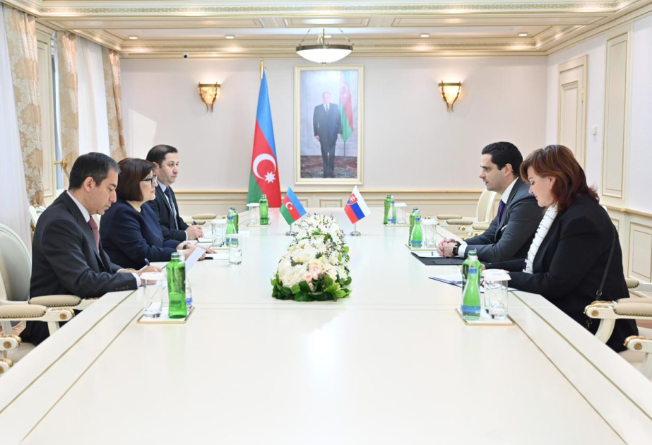 Azərbaycan və Slovakiya qanunverici orqanları arasında əməkdaşlığın genişləndirilməsi məsələsi müzakirə olunub