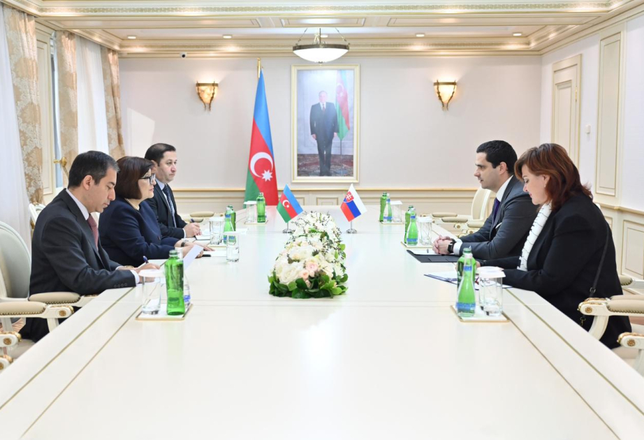 Azerbaijani, Slovakian legislative authorities explore cooperation