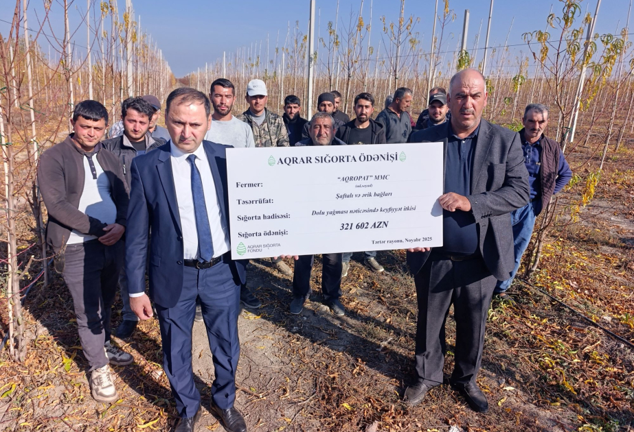 Azərbaycanda ilk dəfə meyvə bağlarında doludan keyfiyyət itkisi üzrə sığorta ödənişi edilib