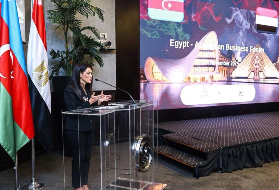 Cairo hosts business forum with participation of Azerbaijani and Egyptian companies