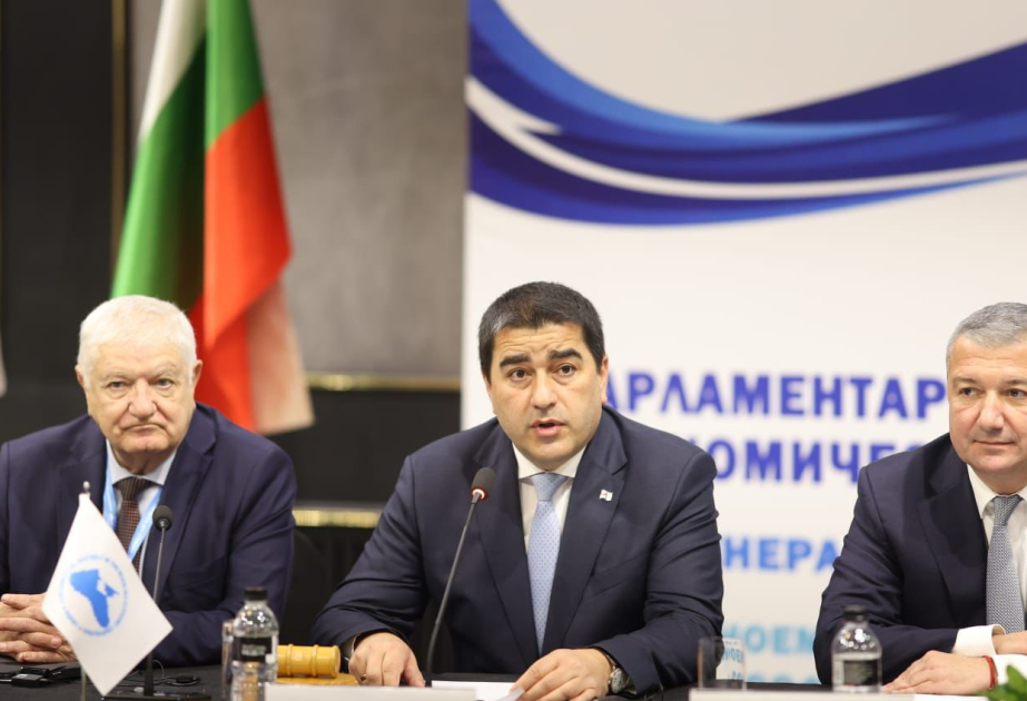 Şalva Papuaşvili: Xalqları çaşqınlıq içində saxlamaq qəbuledilməzdir