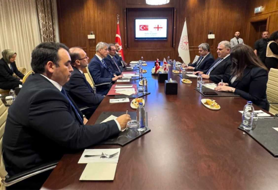 Gürcüstanın və Türkiyənin səhiyyə nazirləri regional əməkdaşlıq məsələlərini müzakirə ediblər