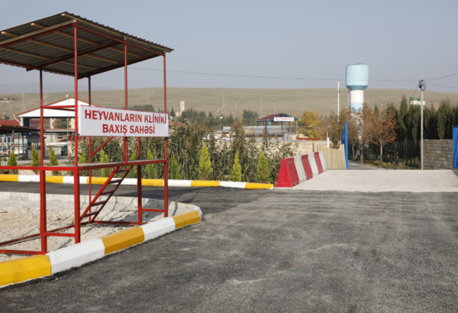 Ölkə üzrə 14 heyvan bazarında yenidənqurma işləri davam edir