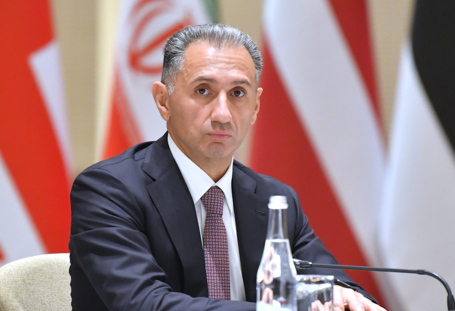 Rashad Nabiyev: Zangezur Corridor is a key element of North-South International Transport Corridor