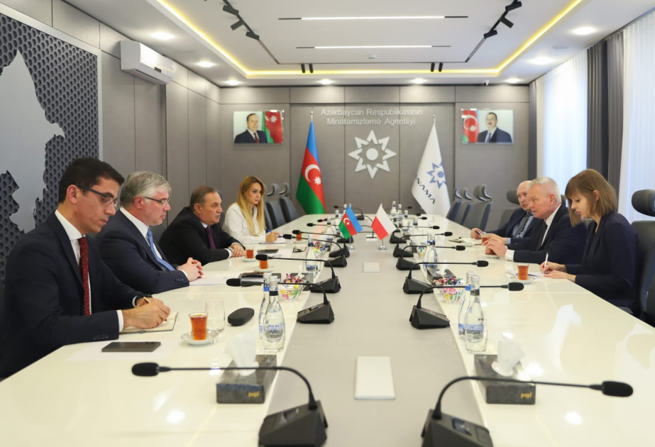 Azərbaycanla Polşa arasında minatəmizləmə sahəsində mümkün əməkdaşlıq perspektivləri müzakirə edilib