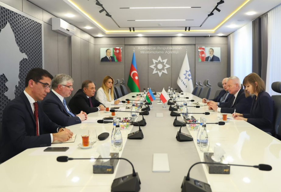 Azerbaijan, Poland explore cooperation in demining