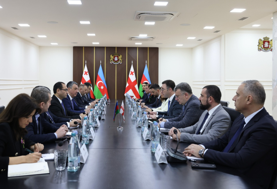Georgia keen on learning from Azerbaijan’s digitalization experience in agriculture, “smart village” model