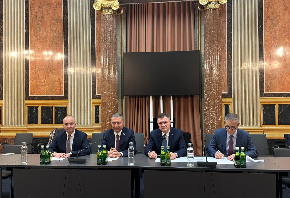 Se examina el desarrollo de la diplomacia parlamentaria entre Azerbaiyán y Austria