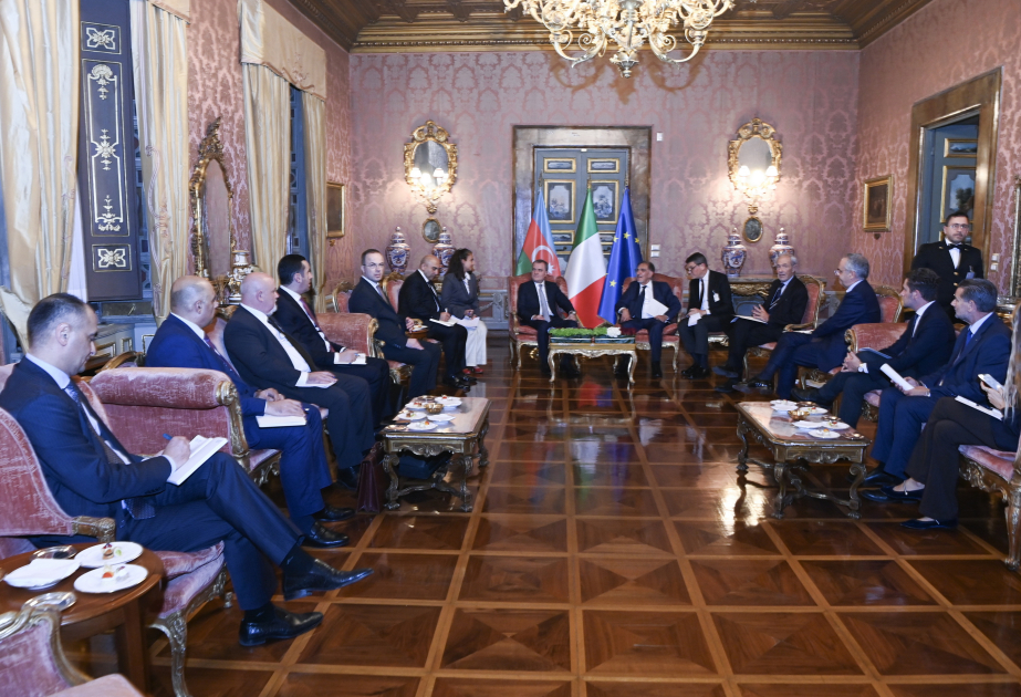 Azerbaijani FM meets with President of Italian Senate