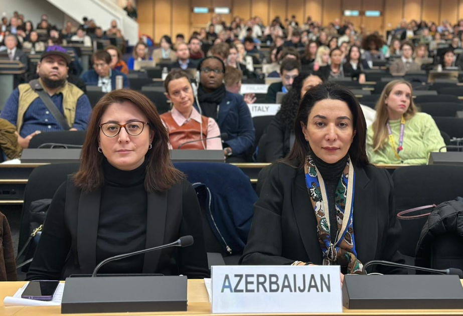 La Defensora del Pueblo de Azerbaiyán subraya en la ONU la importancia del desminado para reactivar la actividad empresarial en los territorios liberados