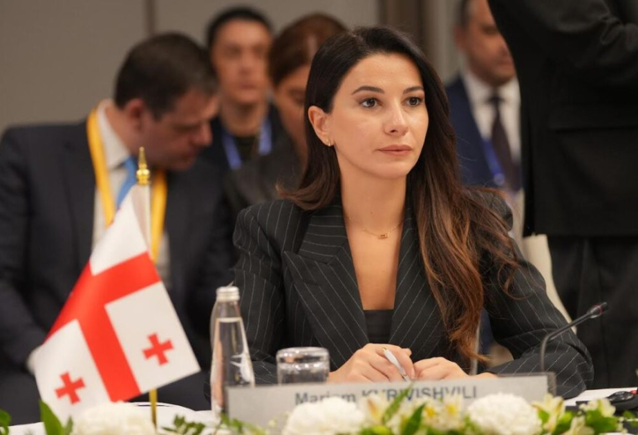 Gürcü nazir: Orta Dəhliz üzrə vahid rəqəmsal xidmətlər ekosistemi yaradılmalıdır