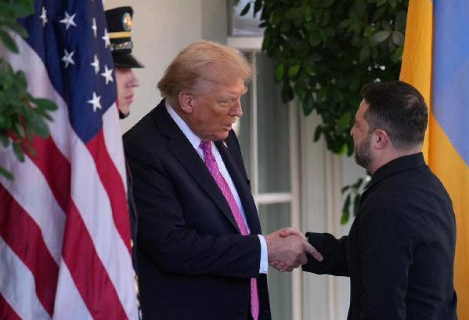 Зеленский обратился к Трампу