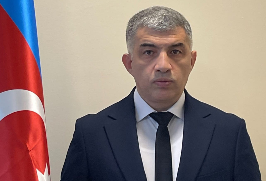 Ekspert: Layihənin optimallaşdırılması tikintinin keyfiyyətinə müsbət təsir edir