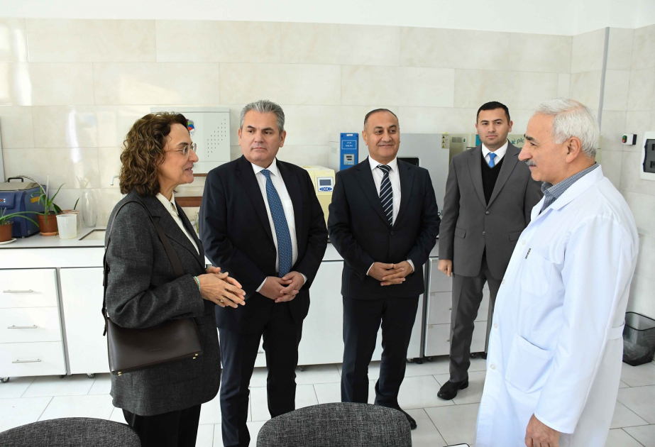 La Consejera de Educación de la Embajada de Türkiye en Azerbaiyán visitó la ADAU