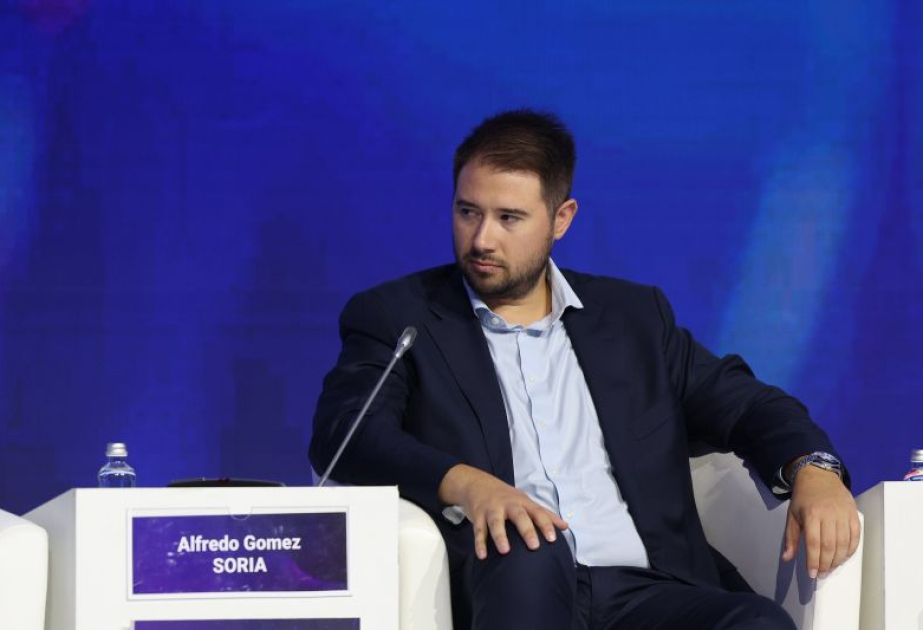 Развитие стартап-экосистемы в Азербайджане: взгляд международного эксперта