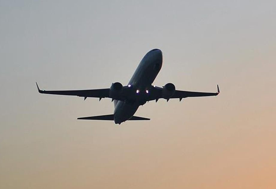 Défaillance logicielle : l’immobilisation de 6 000 appareils A320 désorganise le trafic aérien mondial