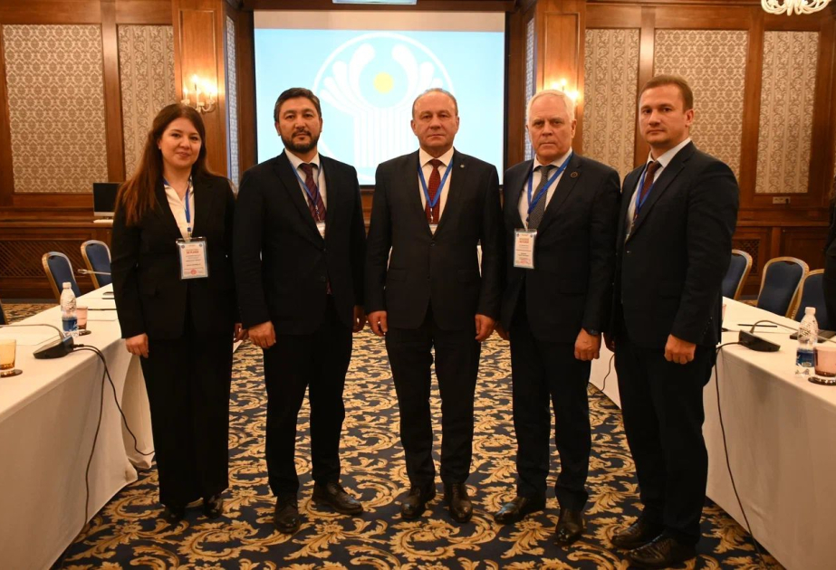 TÜRKPA və MDB PA yeni əməkdaşlıq imkanlarını müzakirə ediblər