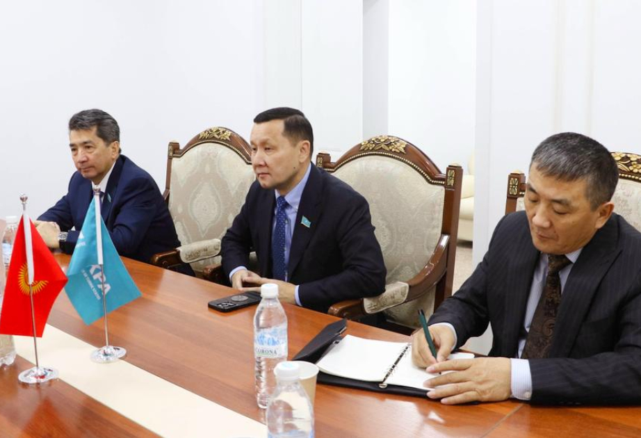 TURKPA International EOM meets with Kyrgyz Deputy Foreign Minister