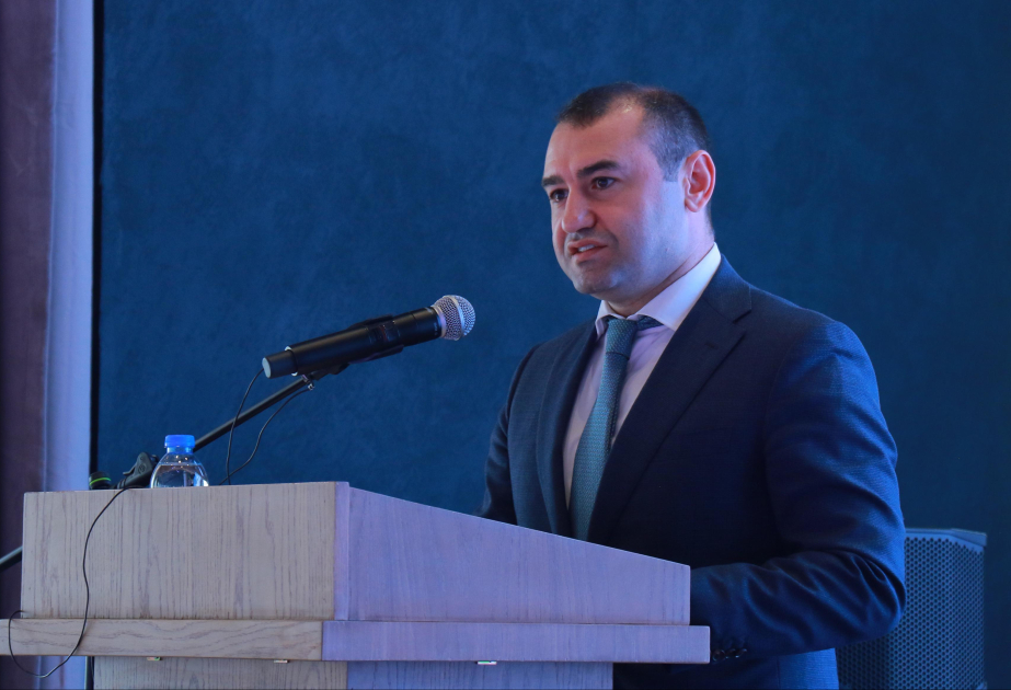 Замминистра: Мероприятия в рамках Года «Культурная столица СНГ - 2025» превратили Лачин в динамичную платформу регионального культурного сотрудничества