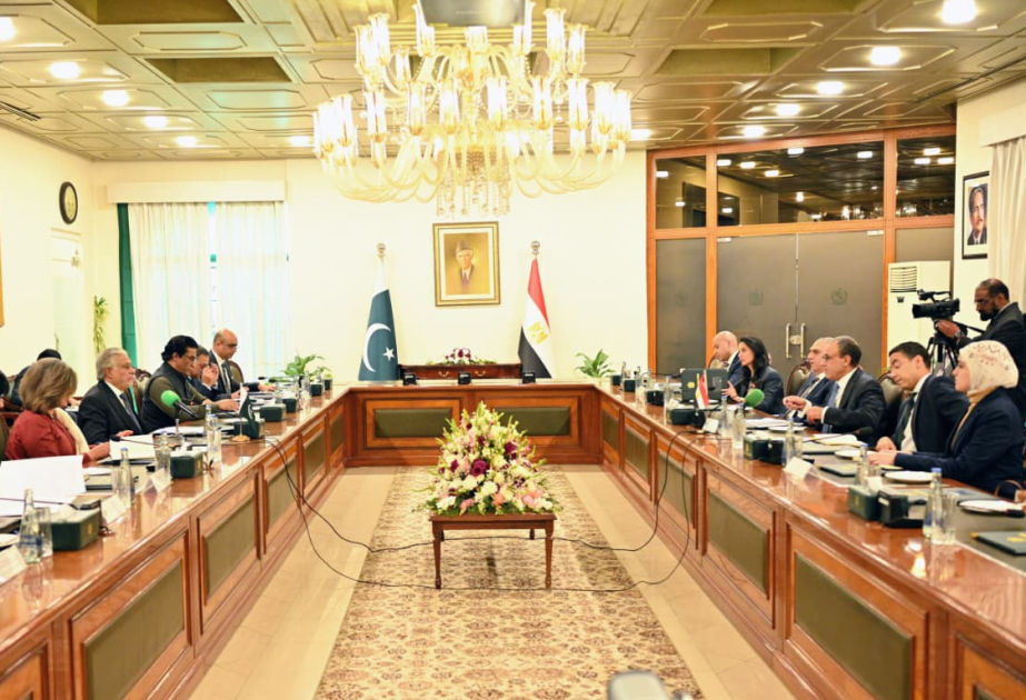 Egyptian Foreign Minister concludes Pakistan visit; discusses bilateral relations and regional peace