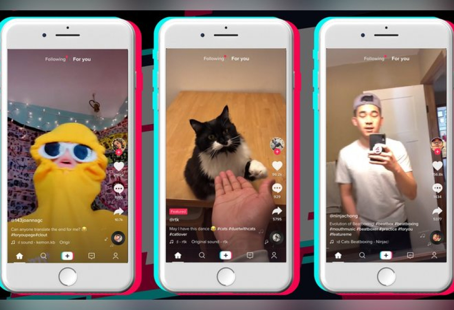 Чем короче видео в TikTok, тем сильнее повреждение мозга
