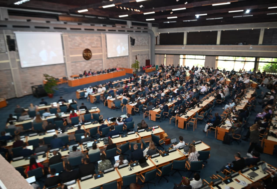 Azərbaycanın sədrliyi ilə UNEP Daimi Nümayəndələr Komitəsinin açıq iclası işə başlayıb