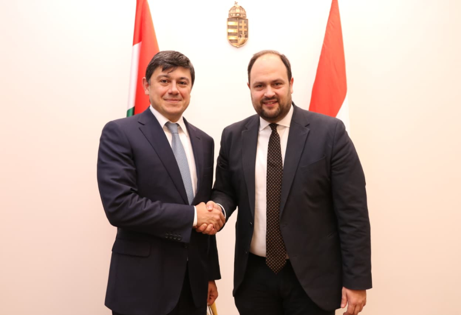 Macarıstanla diaspor sahəsində əməkdaşlıq müzakirə olunub