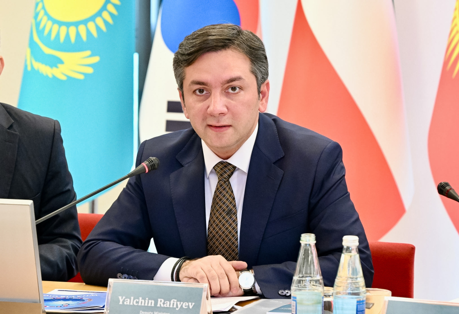 Ялчин Рафиев: Планируется проведение Генеральной ассамблеи СВМДА