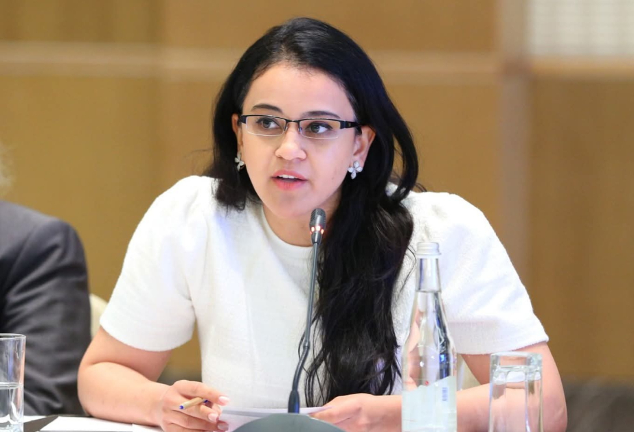 TDT üzv ölkələrin QHT Platformasının yaradılması vətəndaş cəmiyyətinin növbəti uğurudur RƏY
