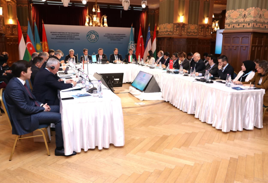 Diaspora dair Birgə Fəaliyyət Planı qəbul olunub