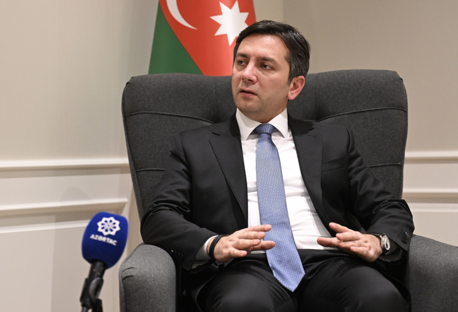 Azerbaiyán espera el próximo informe de la Organización para la Cooperación y el Desarrollo Económico - EXCLUSIVO