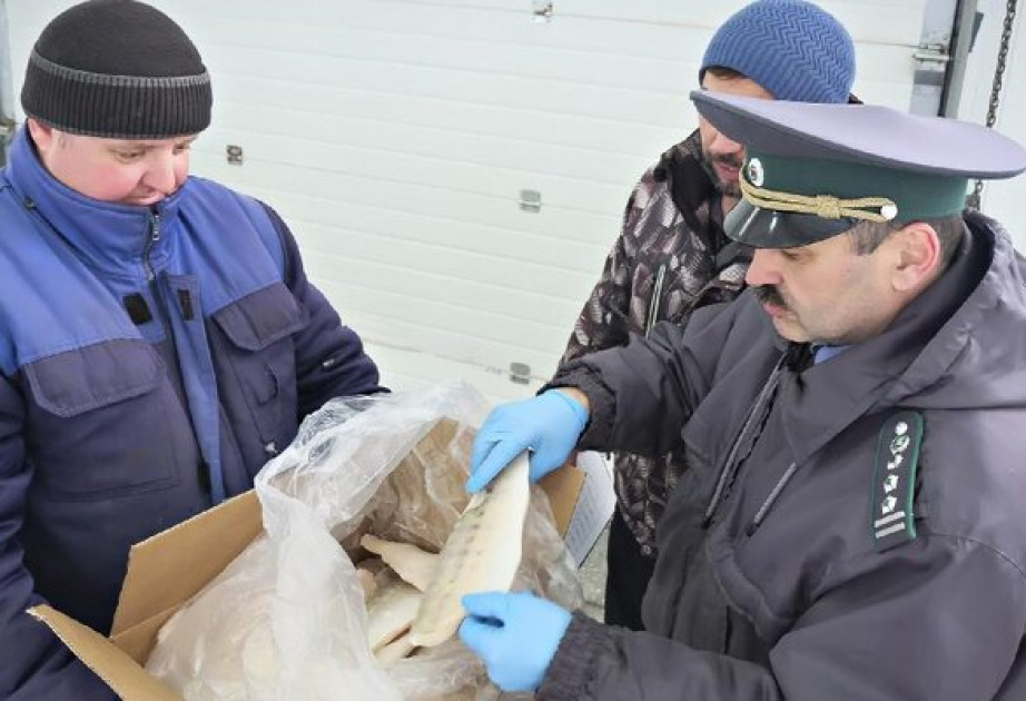 Из Астраханской области в Азербайджан экспортировано 19 тонн рыбы и рыбной продукции