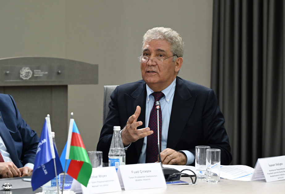Professor: Dilə münasibət yalnız mənəvi yanaşma ilə qoruna bilməz