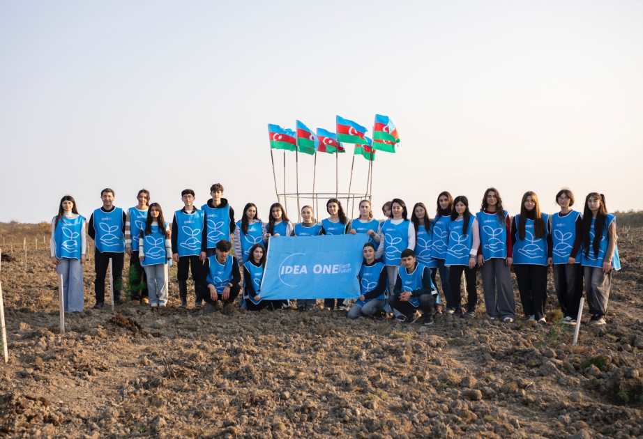 IDEA organiza nuevas campañas de plantación de árboles en Khachmaz y Shabran