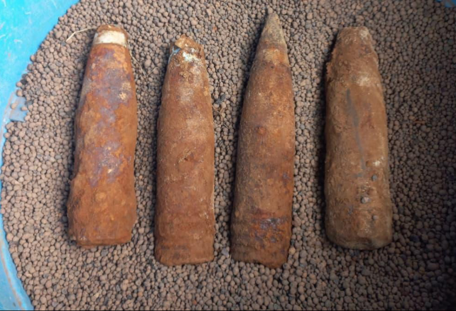 В Норвегии боеприпасы времен Второй мировой войны привлекают внимание преступников