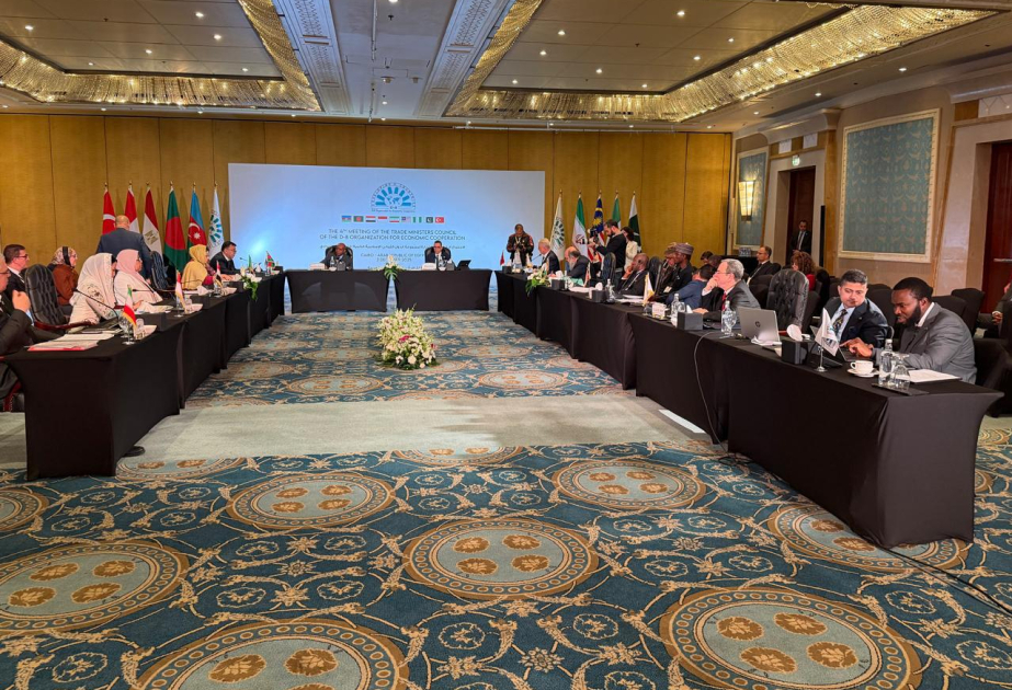 Azerbaijan’s Deputy Minister of Economy joins 4th meeting of D-8 Trade Ministers Council