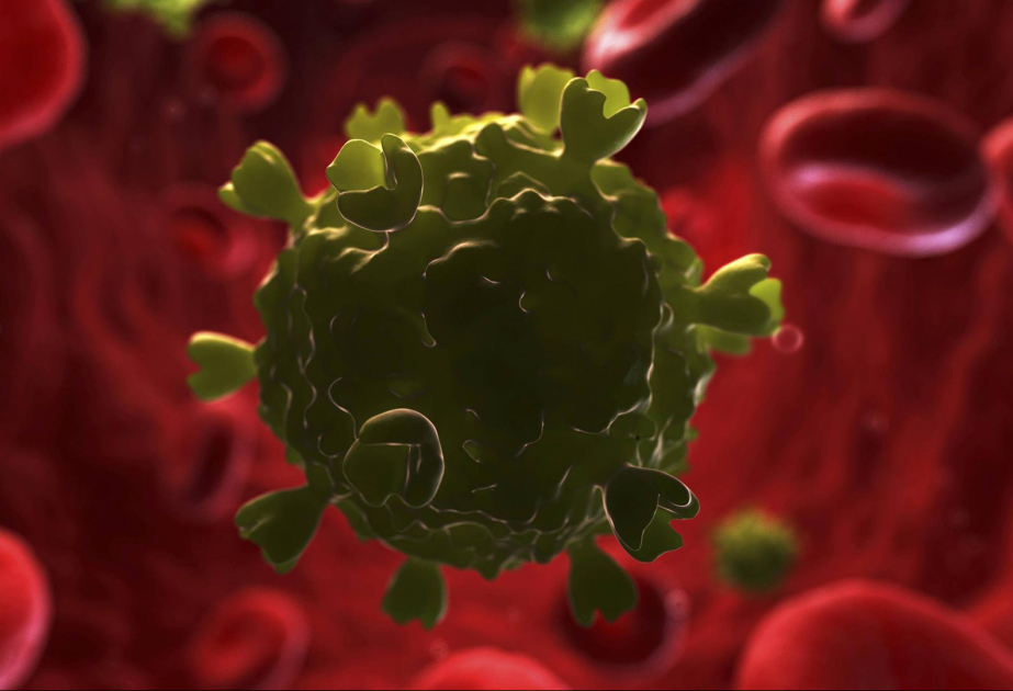 Chinesische Forscher entwickeln neue Therapie zur Heilung von HIV