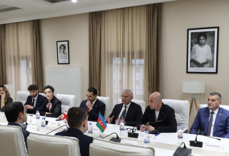 "Yeni Azərbaycan" Partiyası Gənclər Birliyinin nümayəndələri Gürcüstan parlamentinin deputatları ilə görüşüblər