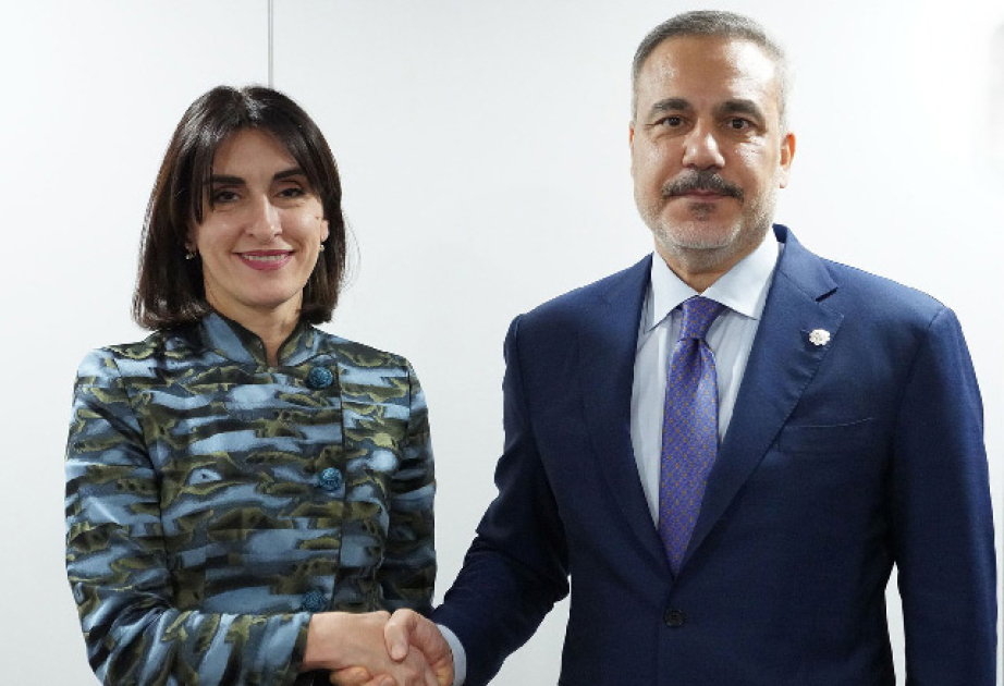 Türkiyə və Gürcüstan XİN başçıları regional təhlükəsizlik məsələlərini müzakirə ediblər