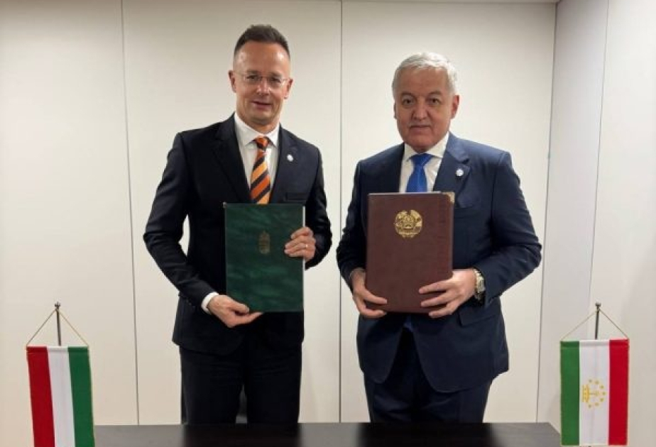 Tajikistan and Hungary to strengthen educational connections and programming